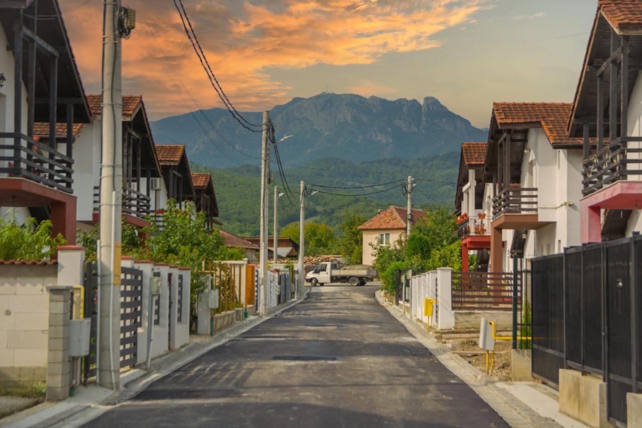 Casa Gabrielle Villa Călimăneşti Exterior foto
